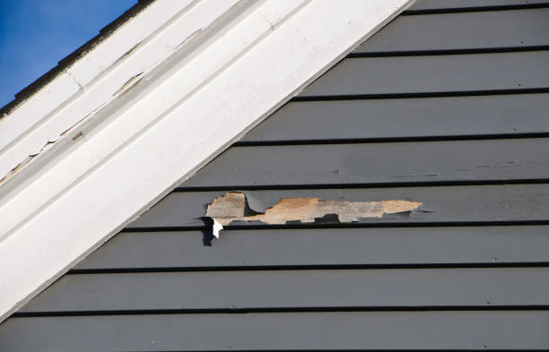 Same-Day Junk Removal Services in Port Hueneme, CA